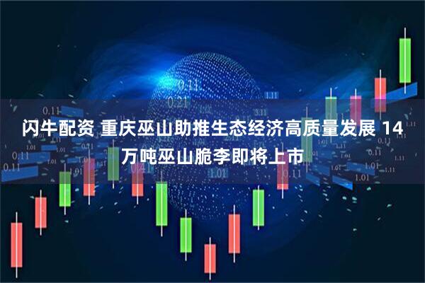 闪牛配资 重庆巫山助推生态经济高质量发展 14万吨巫山脆李即将上市