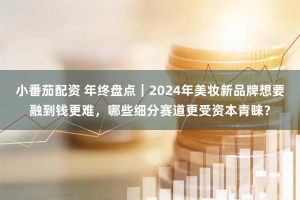 小番茄配资 年终盘点｜2024年美妆新品牌想要融到钱更难，哪些细分赛道更受资本青睐？