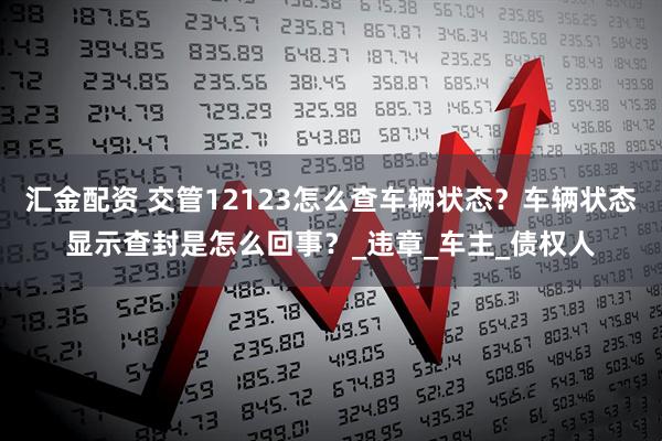 汇金配资 交管12123怎么查车辆状态？车辆状态显示查封是怎么回事？_违章_车主_债权人