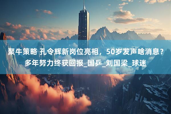 聚牛策略 孔令辉新岗位亮相，50岁发声啥消息？多年努力终获回报_国乒_刘国梁_球迷