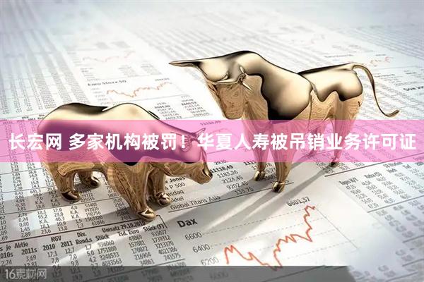 长宏网 多家机构被罚！华夏人寿被吊销业务许可证
