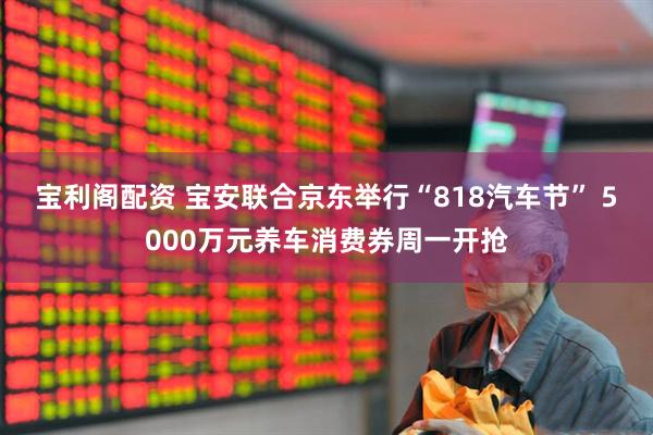 宝利阁配资 宝安联合京东举行“818汽车节” 5000万元养车消费券周一开抢