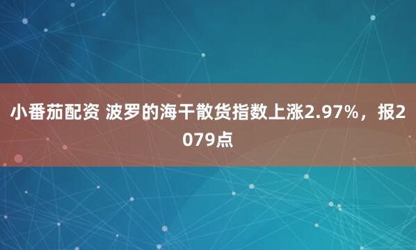 小番茄配资 波罗的海干散货指数上涨2.97%，报2079点