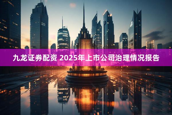 九龙证券配资 2025年上市公司治理情况报告